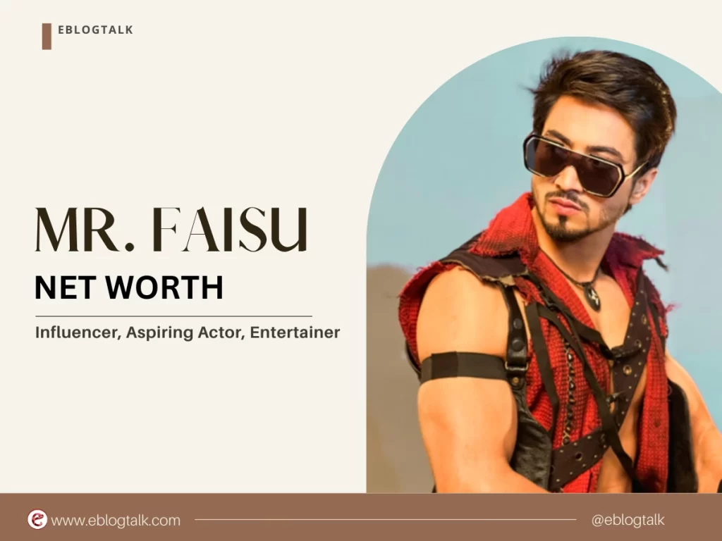 mr faisu net worth